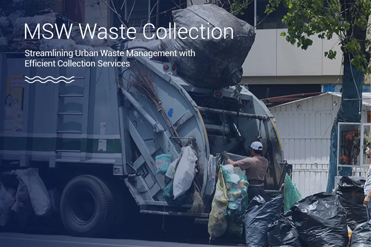 msw-door-to-door-collection-2-1.jpg