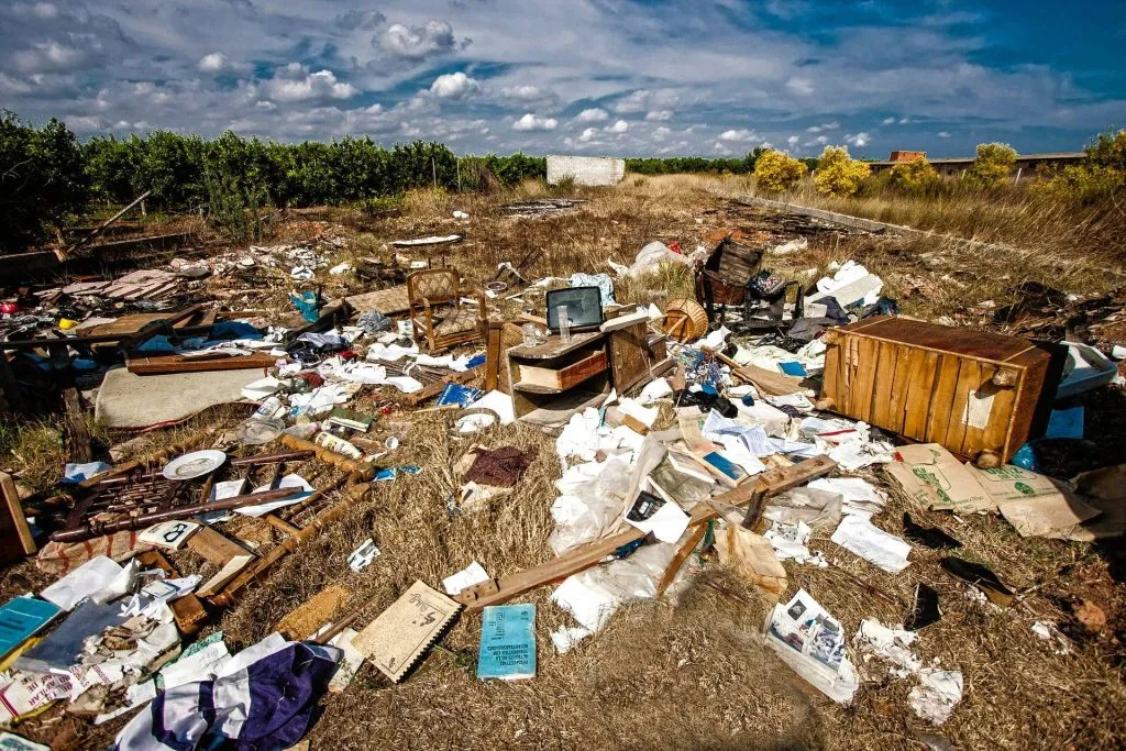 trash-1731503_1920-1-1024x683.jpg