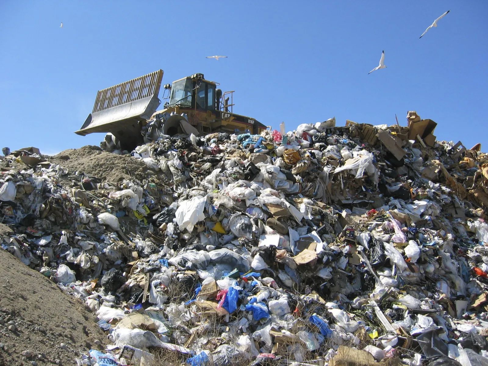 MN-dump.jpg