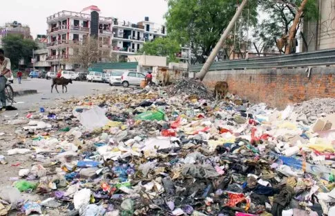 Disposal of Sanitary Pad a major concern in India's Solid Waste Management