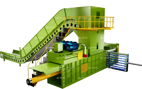 20241128-2.jpg