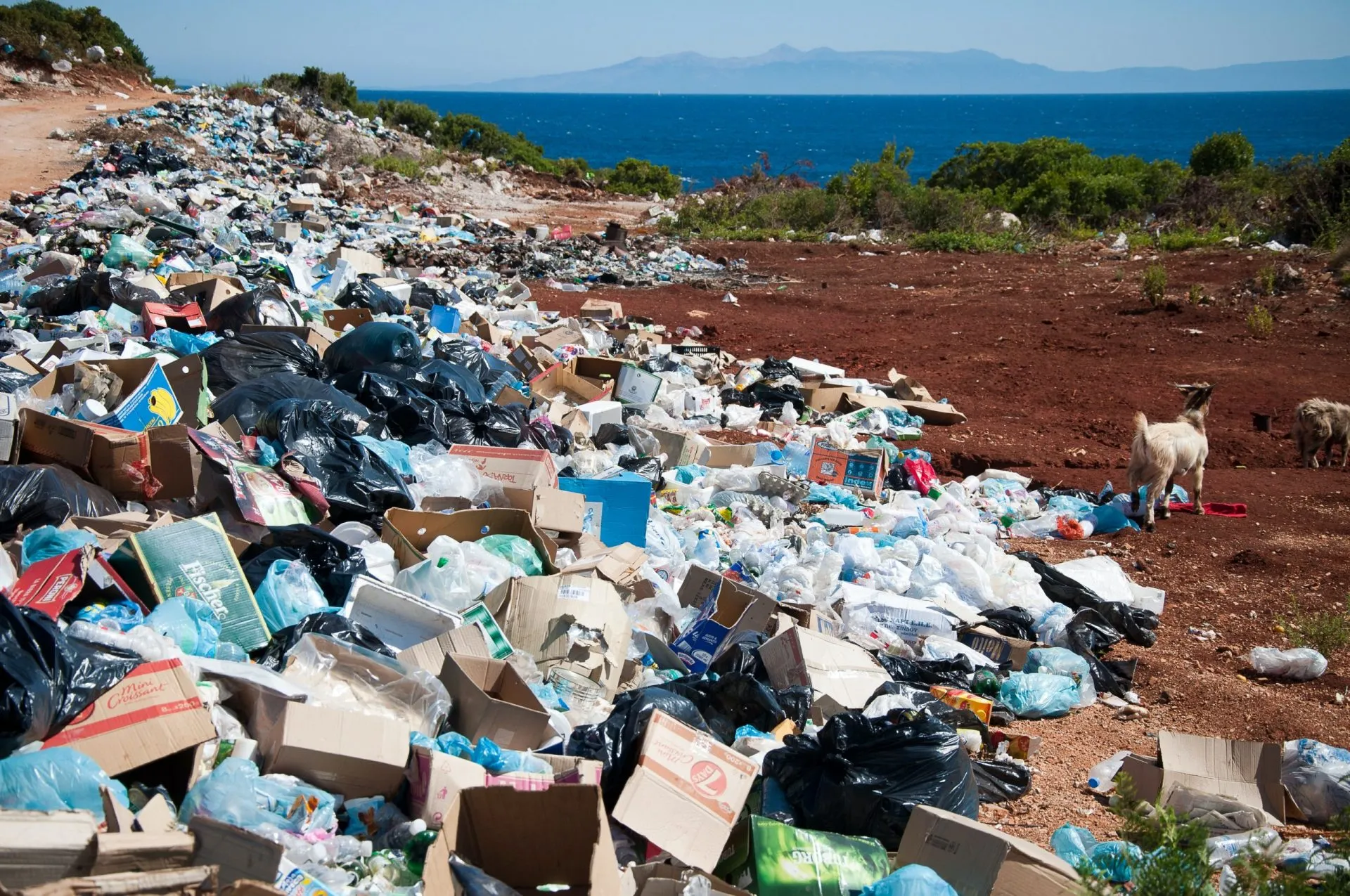 Municipal waste management: Krk's case with Ecostar