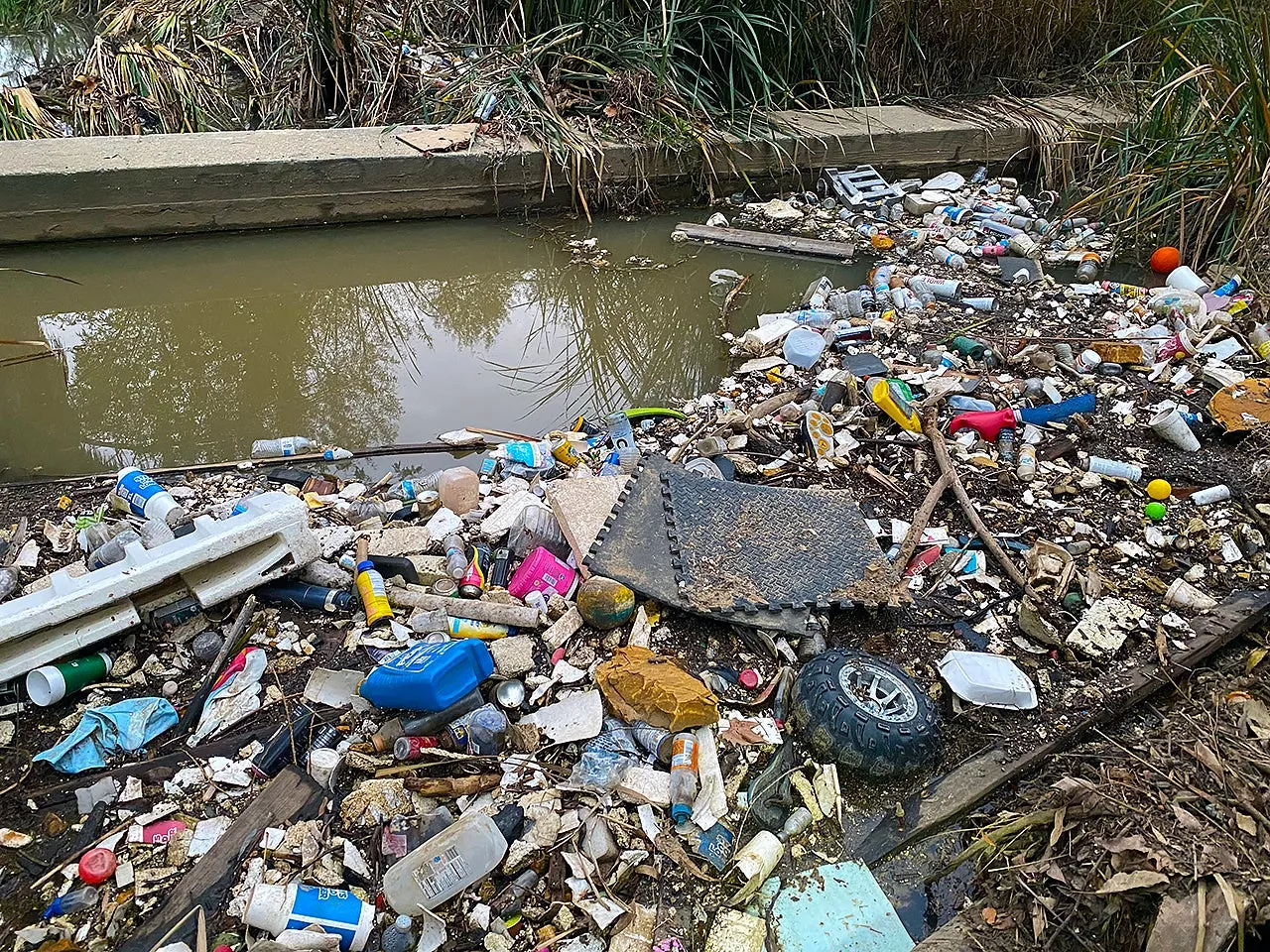 Turning plastic waste into a valuable soil additive | UCR News | UC Riverside